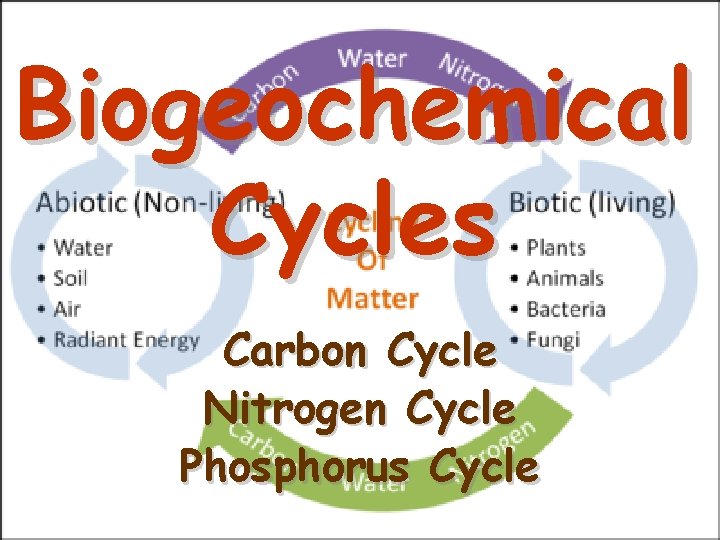 Biogeochemical Cycles Carbon Cycle Nitrogen Cycle Phosphorus Cycle 