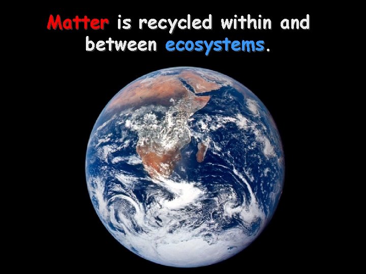 Matter is recycled within and Earth Photo between ecosystems. 