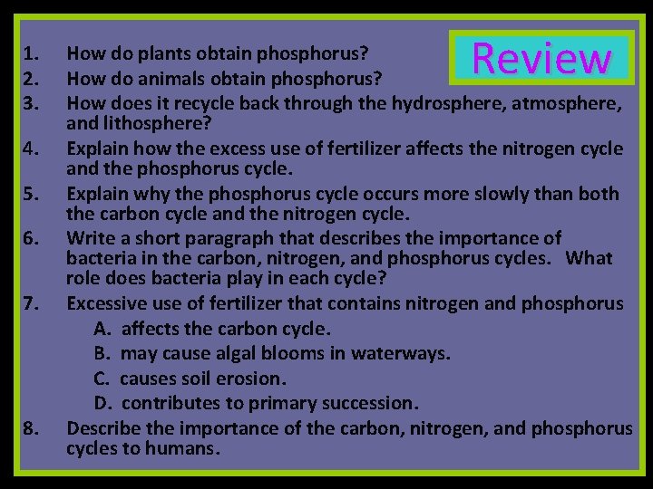 1. 2. 3. 4. 5. 6. 7. 8. Review How do plants obtain phosphorus?