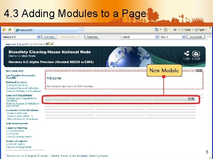 4. 3 Adding Modules to a Page A new module is now created. Highlighted