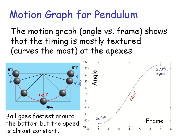 Motion Graph for Pendulum The motion graph (angle vs. frame) shows that the timing