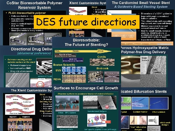 DES future directions 