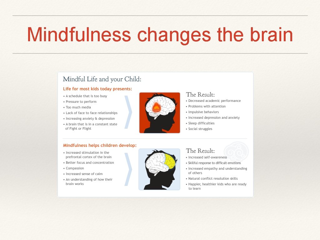 Mindfulness changes the brain 