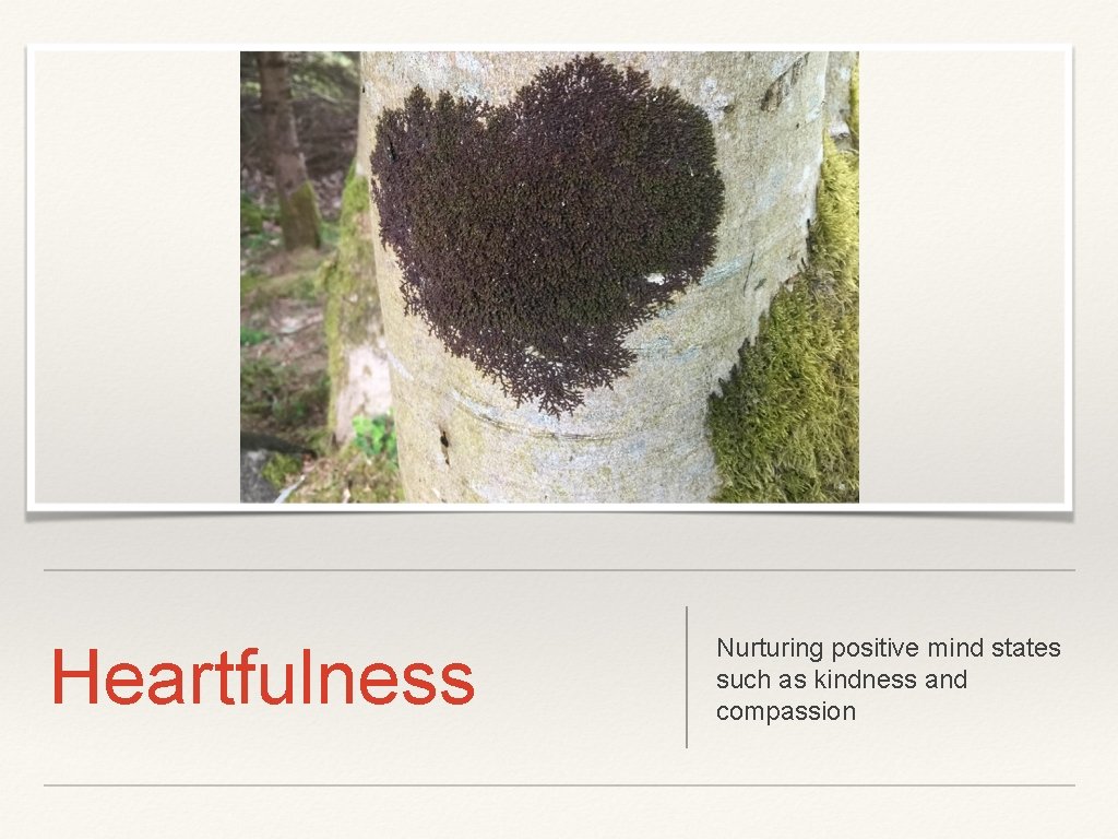 Heartfulness Nurturing positive mind states such as kindness and compassion 