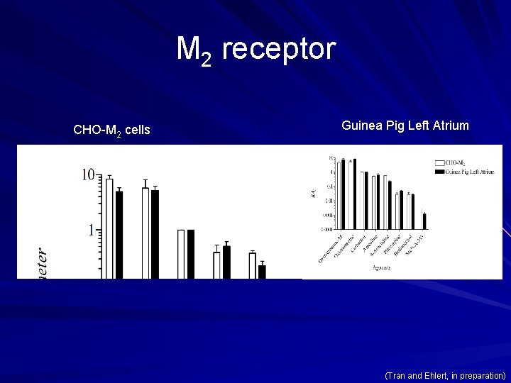 M 2 receptor CHO-M 2 cells Guinea Pig Left Atrium (Tran and Ehlert, in