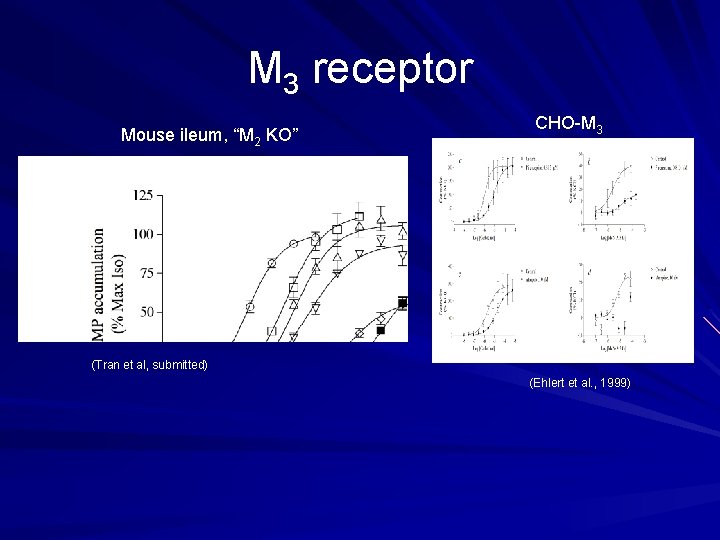 M 3 receptor Mouse ileum, “M 2 KO” CHO-M 3 (Tran et al, submitted)