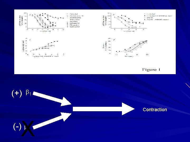 (+) b 1 Contraction X (-) b 3 