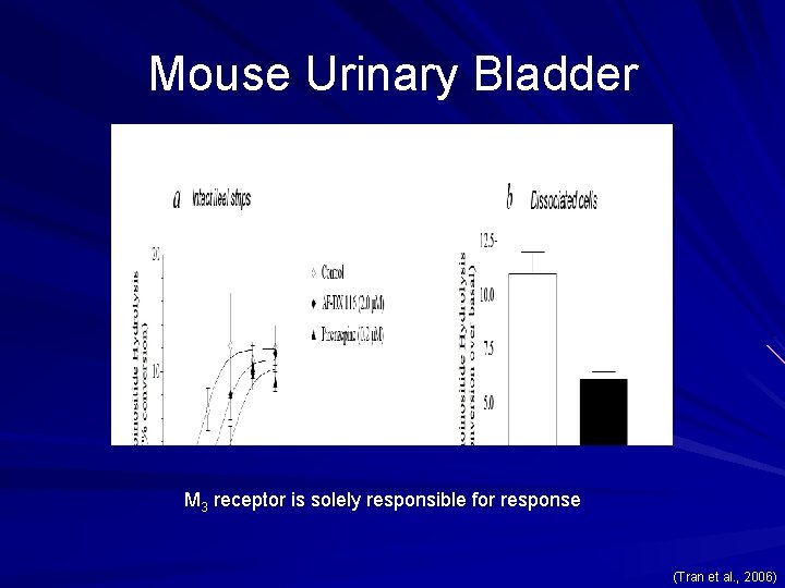 Mouse Urinary Bladder M 3 receptor is solely responsible for response (Tran et al.