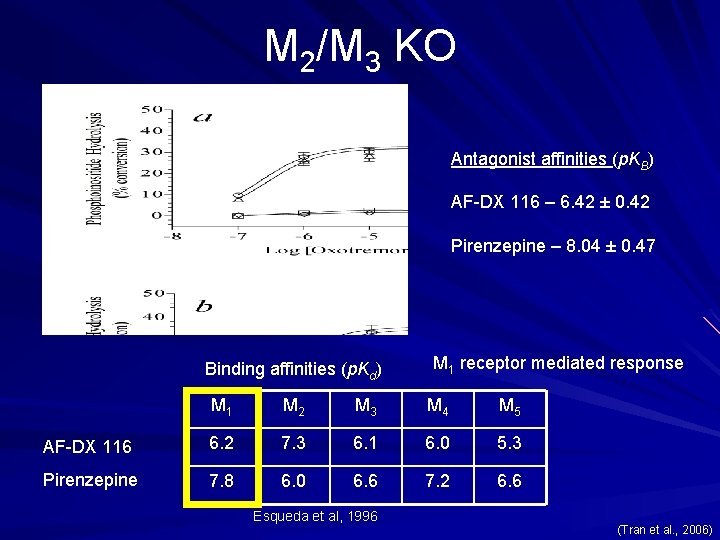 M 2/M 3 KO Antagonist affinities (p. KB) AF-DX 116 – 6. 42 ±