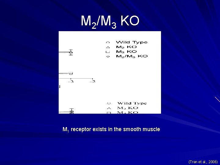 M 2/M 3 KO M 1 receptor exists in the smooth muscle (Tran et