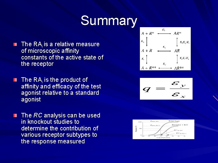 Summary The RAi is a relative measure of microscopic affinity constants of the active
