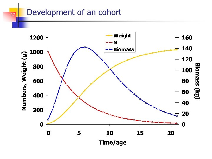 27 Development of an cohort 