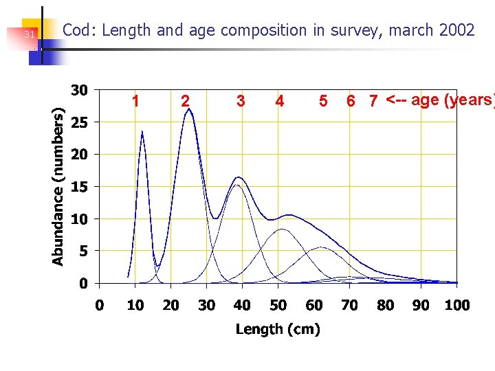 31 Cod: Length and age composition in survey, march 2002 1 2 3 4
