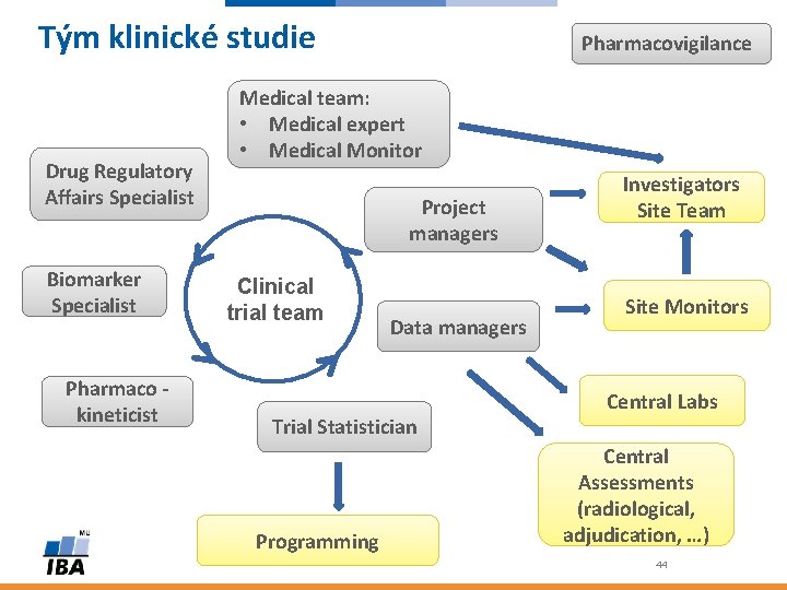 Tým klinické studie Drug Regulatory Affairs Specialist Biomarker Specialist Pharmaco kineticist Pharmacovigilance Medical team: