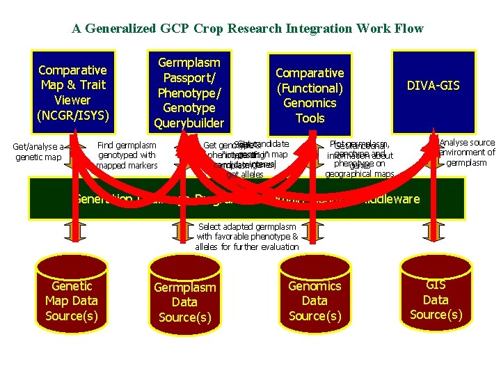 A Generalized GCP Crop Research Integration Work Flow Comparative Map & Trait Viewer (NCGR/ISYS)