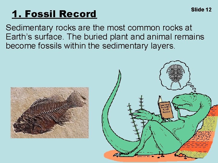 Slide 12 1. Fossil Record Sedimentary rocks are the most common rocks at Earth’s