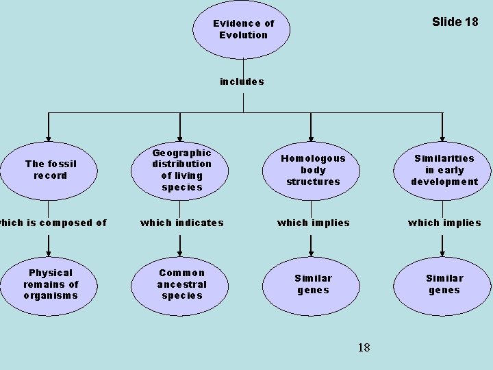 Slide 18 Evidence of Evolution includes The fossil record Geographic distribution of living species