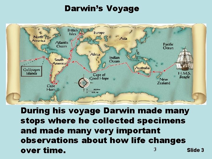  Darwin’s Voyage During his voyage Darwin made many stops where he collected specimens