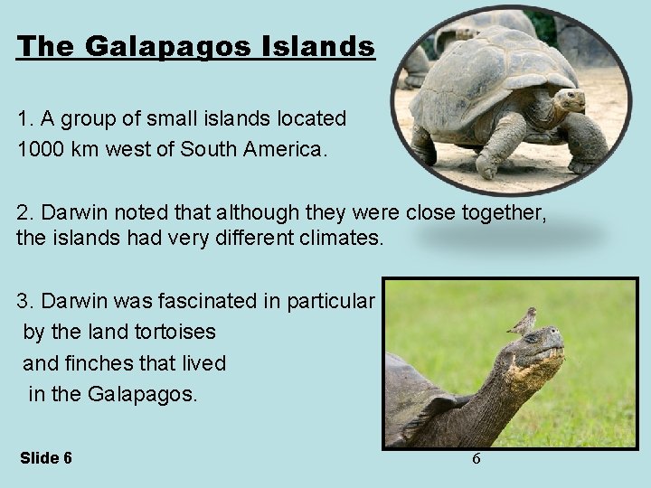 The Galapagos Islands 1. A group of small islands located 1000 km west of