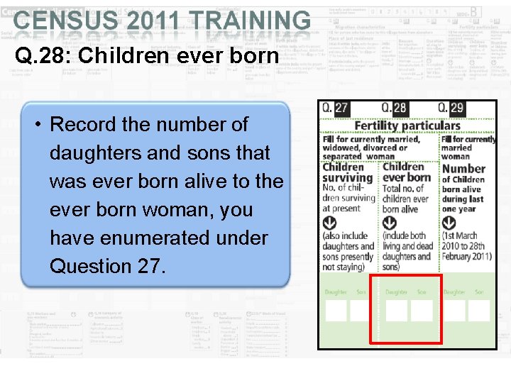 Q. 28: Children ever born • Record the number of daughters and sons that