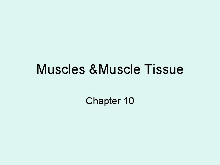 Muscles &Muscle Tissue Chapter 10 