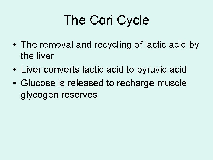 The Cori Cycle • The removal and recycling of lactic acid by the liver