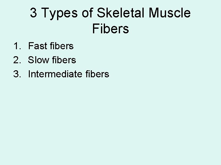 3 Types of Skeletal Muscle Fibers 1. Fast fibers 2. Slow fibers 3. Intermediate