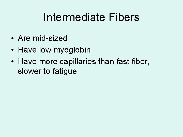 Intermediate Fibers • Are mid-sized • Have low myoglobin • Have more capillaries than