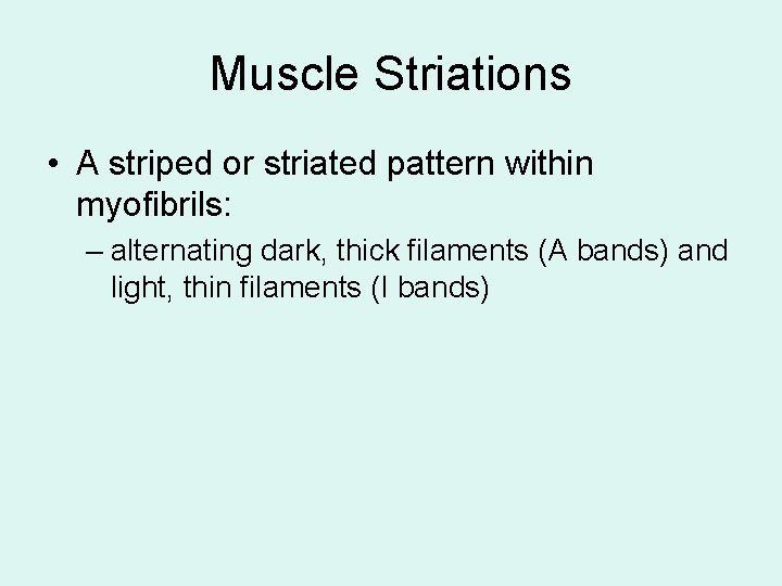 Muscle Striations • A striped or striated pattern within myofibrils: – alternating dark, thick