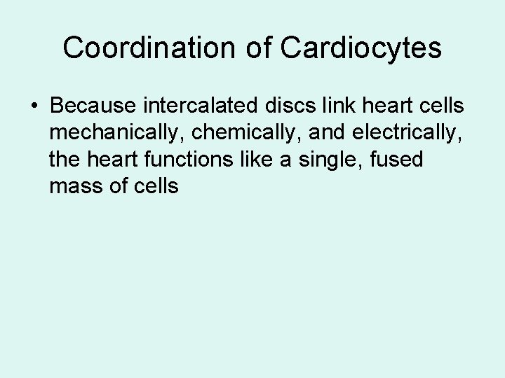 Coordination of Cardiocytes • Because intercalated discs link heart cells mechanically, chemically, and electrically,