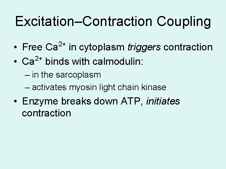 Excitation–Contraction Coupling 2+ • Free Ca in cytoplasm triggers contraction • Ca 2+ binds