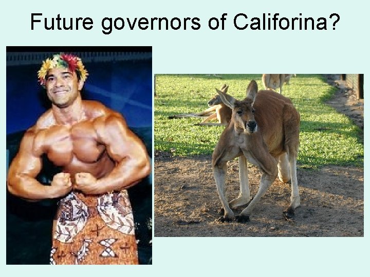 Future governors of Califorina? 