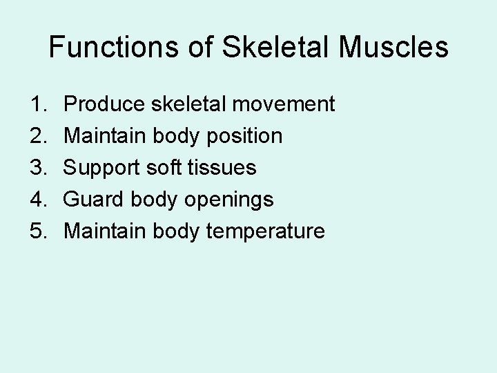 Functions of Skeletal Muscles 1. 2. 3. 4. 5. Produce skeletal movement Maintain body