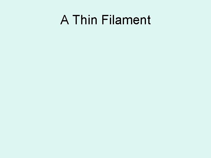 A Thin Filament 