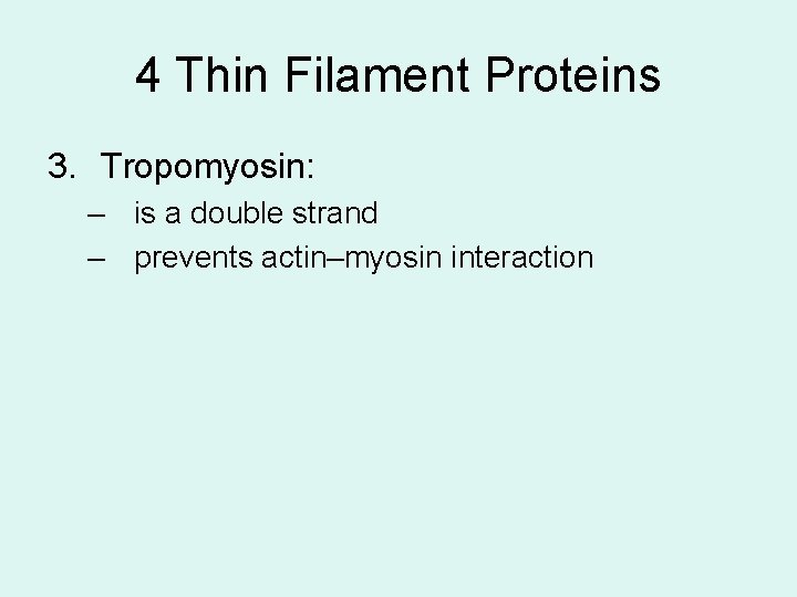 4 Thin Filament Proteins 3. Tropomyosin: – is a double strand – prevents actin–myosin