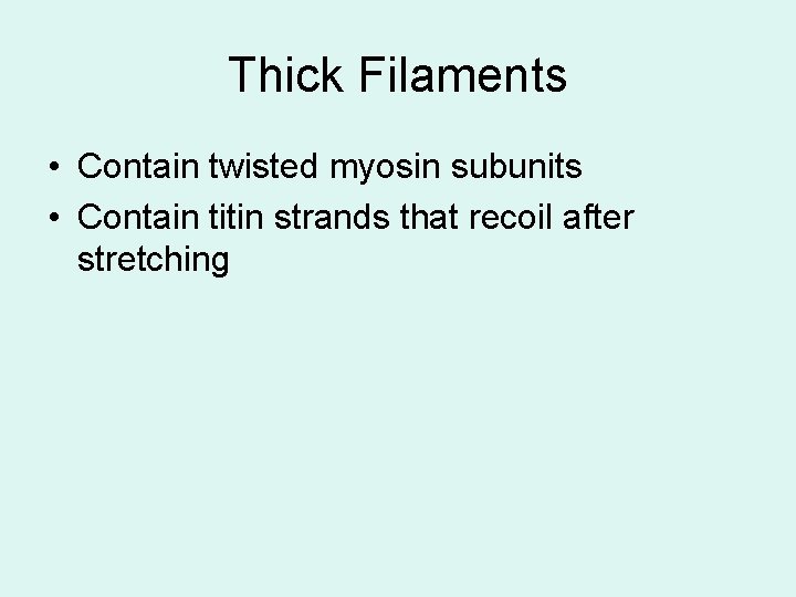 Thick Filaments • Contain twisted myosin subunits • Contain titin strands that recoil after