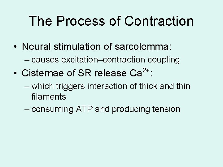 The Process of Contraction • Neural stimulation of sarcolemma: – causes excitation–contraction coupling •