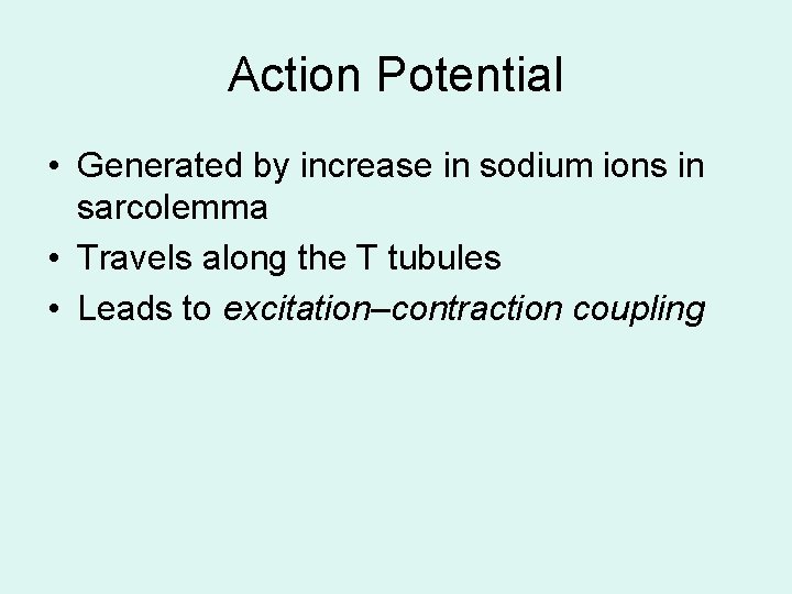 Action Potential • Generated by increase in sodium ions in sarcolemma • Travels along