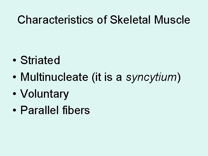 Characteristics of Skeletal Muscle • • Striated Multinucleate (it is a syncytium) Voluntary Parallel