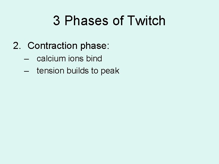 3 Phases of Twitch 2. Contraction phase: – calcium ions bind – tension builds