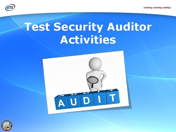 Test Security Auditor Activities 