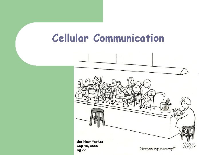 Cellular Communication Denise Green 