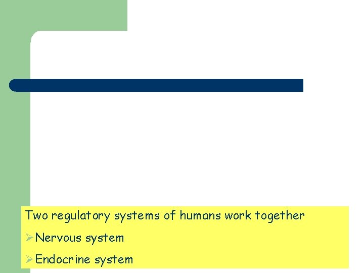 Two regulatory systems of humans work together ØNervous system ØEndocrine system 