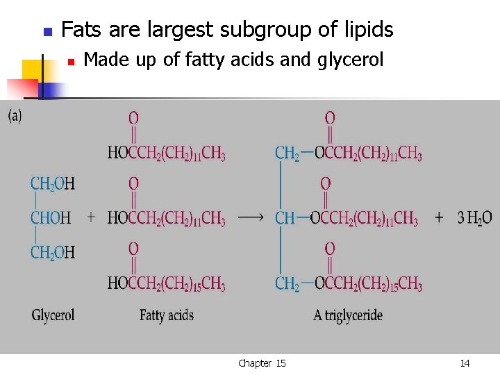 n Fats are largest subgroup of lipids n Made up of fatty acids and