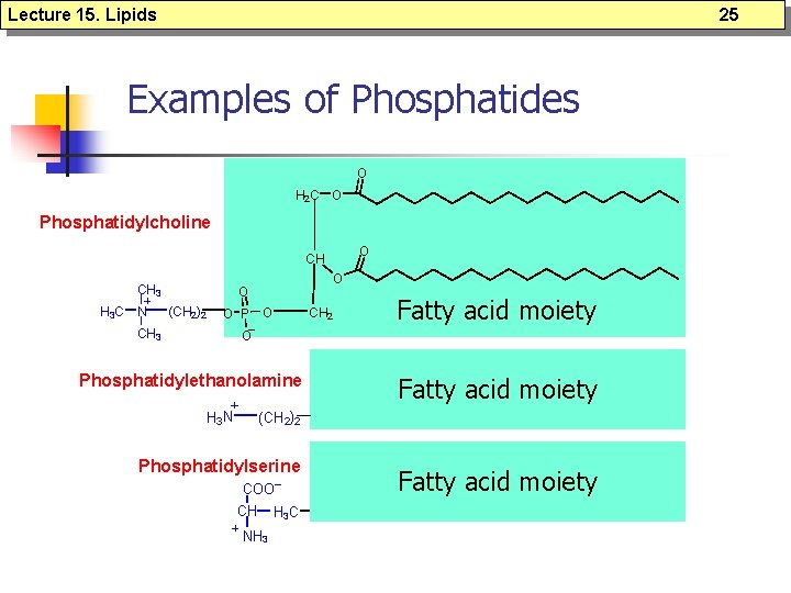 Lecture 15. Lipids 25 Examples of Phosphatides O H 2 C O Phosphatidylcholine O