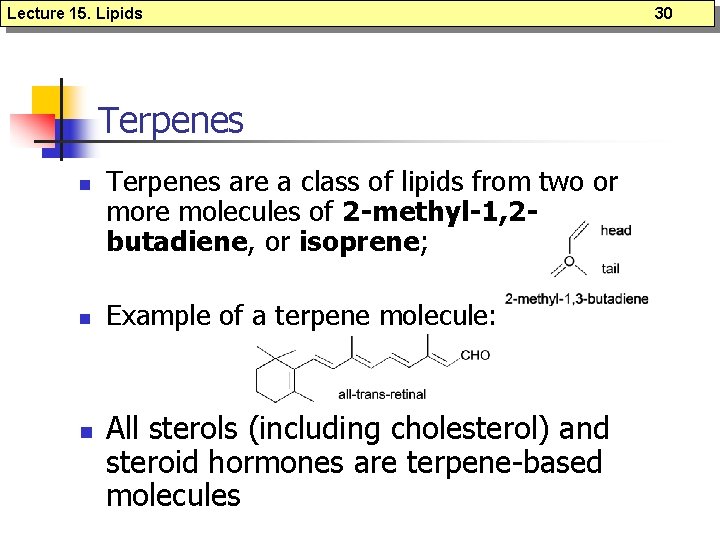 Lecture 15. Lipids Terpenes n n n Terpenes are a class of lipids from