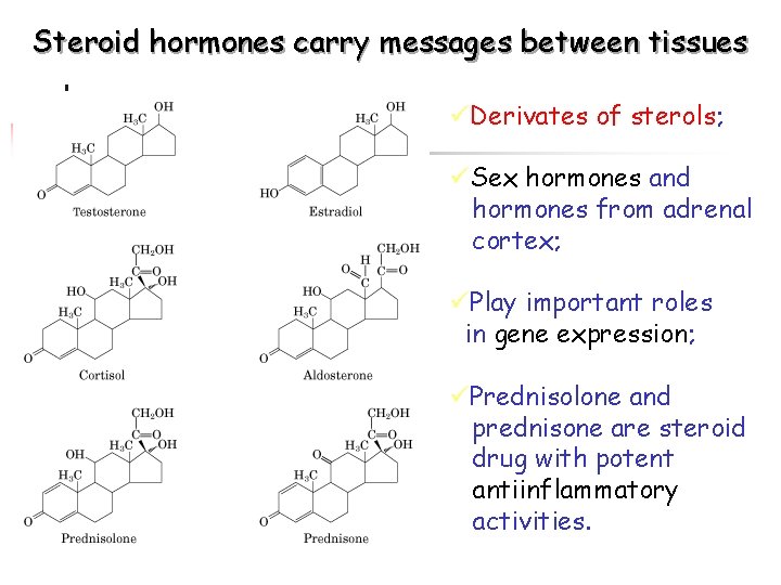 Steroid hormones carry messages between tissues üDerivates of sterols; üSex hormones and hormones from