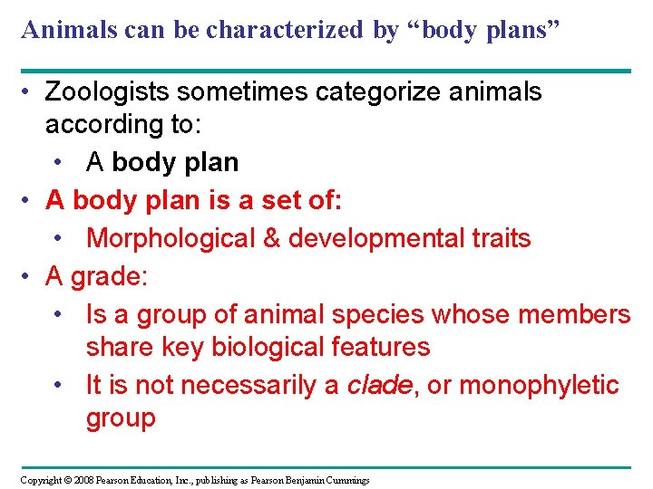 Animals can be characterized by “body plans” • Zoologists sometimes categorize animals according to: Animals can be characterized by “body plans” • Zoologists sometimes categorize animals according to:
