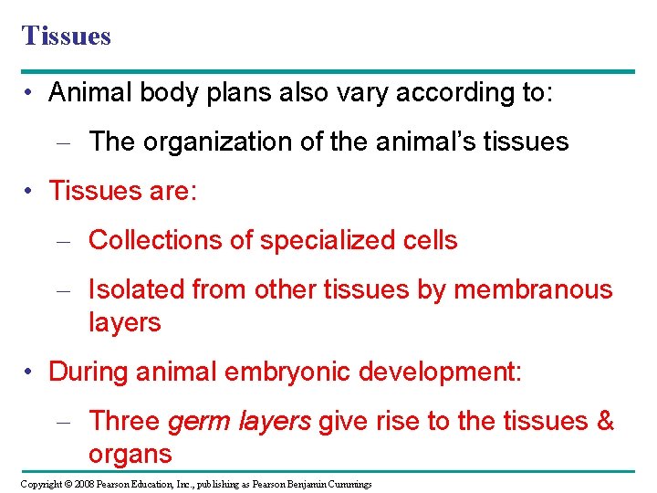 Tissues • Animal body plans also vary according to: – The organization of the Tissues • Animal body plans also vary according to: – The organization of the
