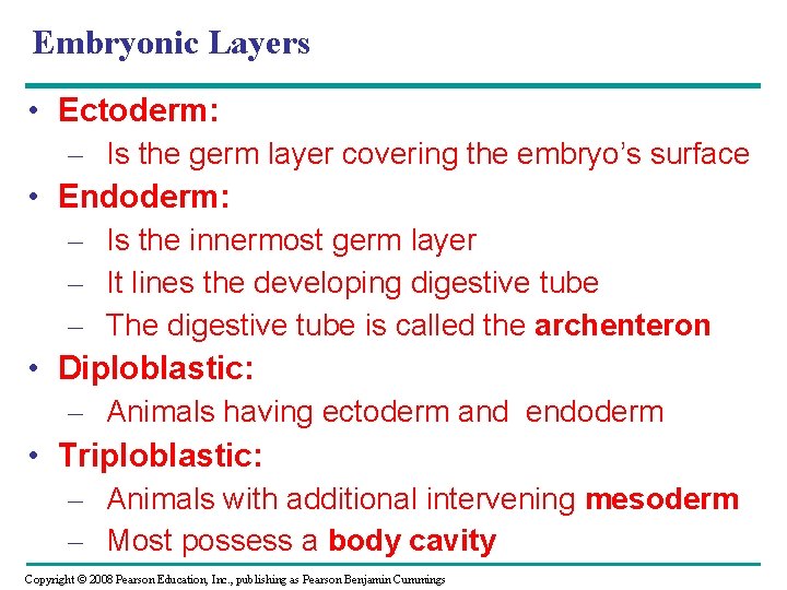 Embryonic Layers • Ectoderm: – Is the germ layer covering the embryo’s surface • Embryonic Layers • Ectoderm: – Is the germ layer covering the embryo’s surface •